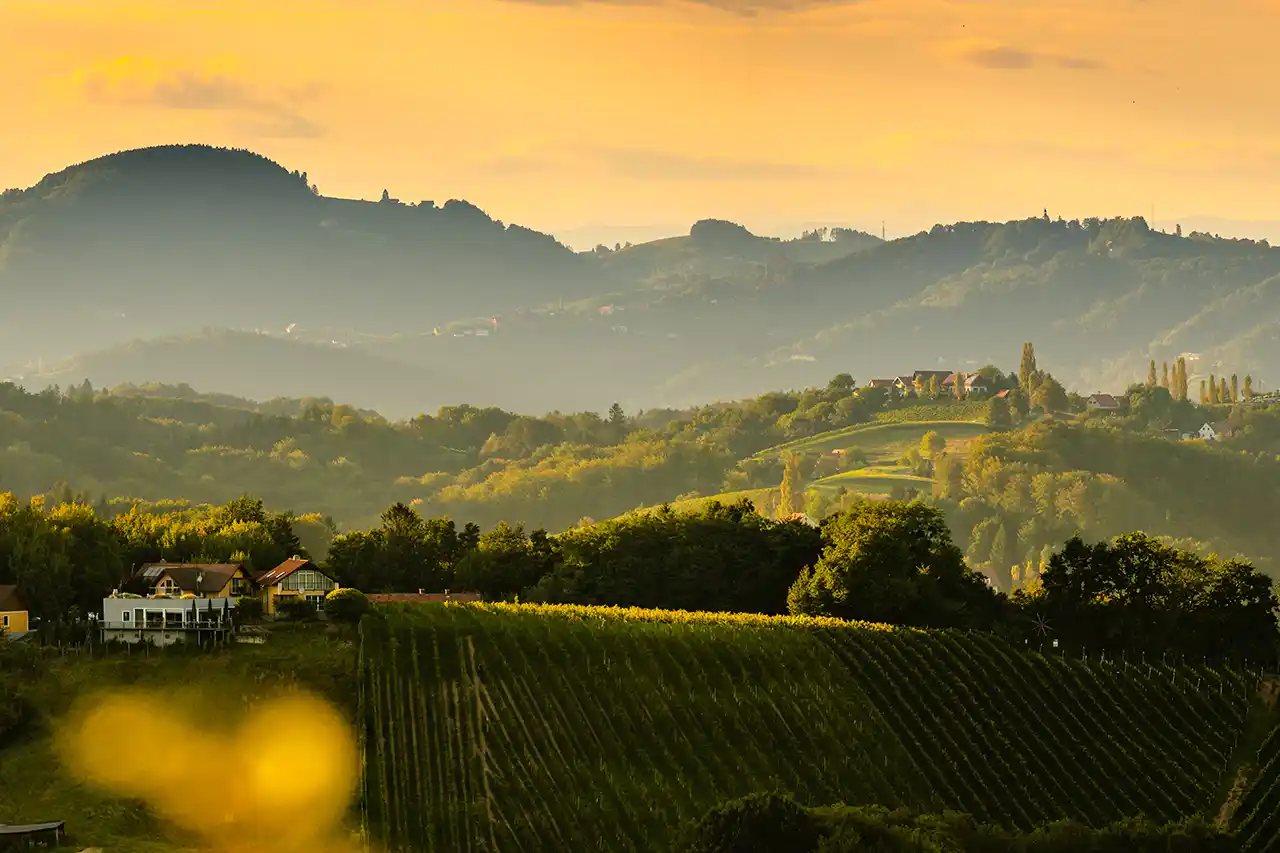 Freie Trauung in der Steiermark - Weinberge in der Südsteiermark (Foto: © Przemyslaw Iciak, Adobe Stock)