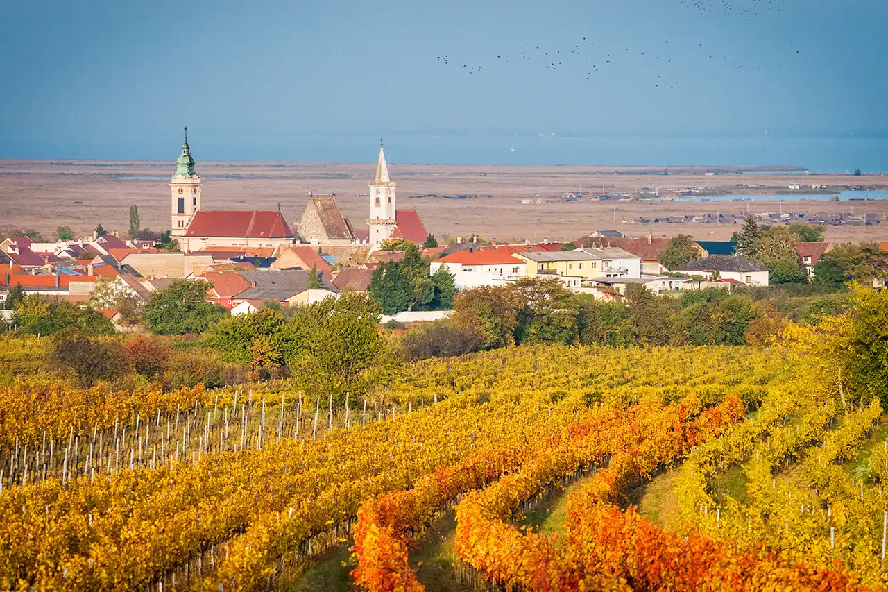 Freie Trauung im Burgenland - Rust und der Neusiedlersee (Foto: © Ewald Fröch, Adobe Stock)